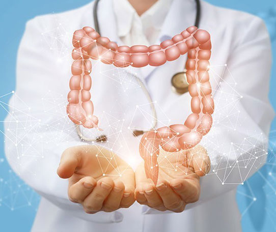 Dermatologia