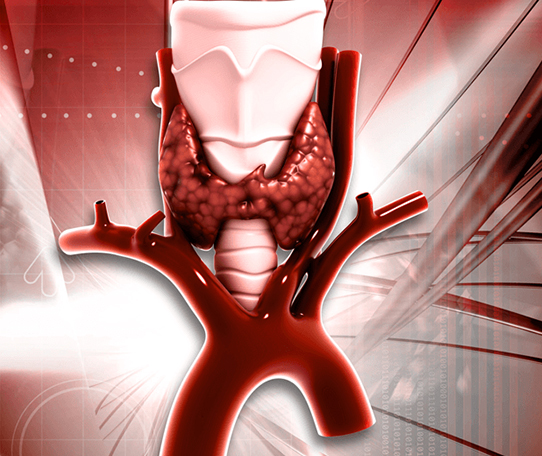 Endocrinologia